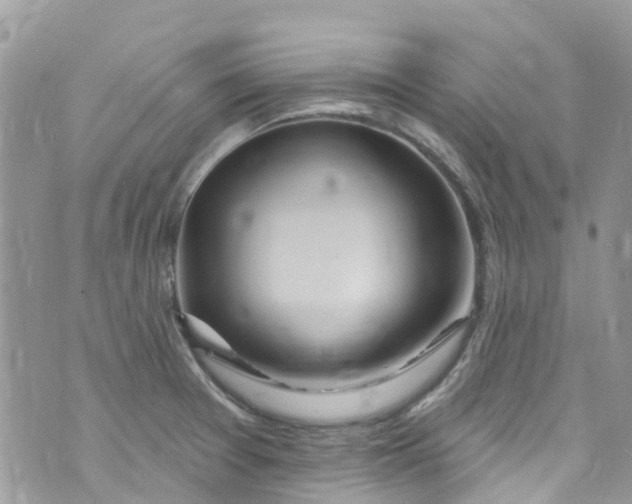 X0000072991377200608111756