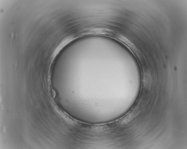 X0000072991378200608111756