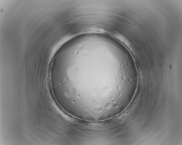 X0000072991379200608111756