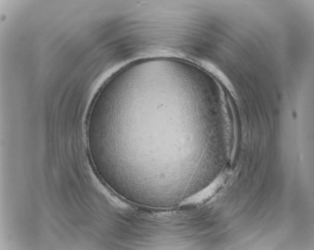 X0000072991380200608111756