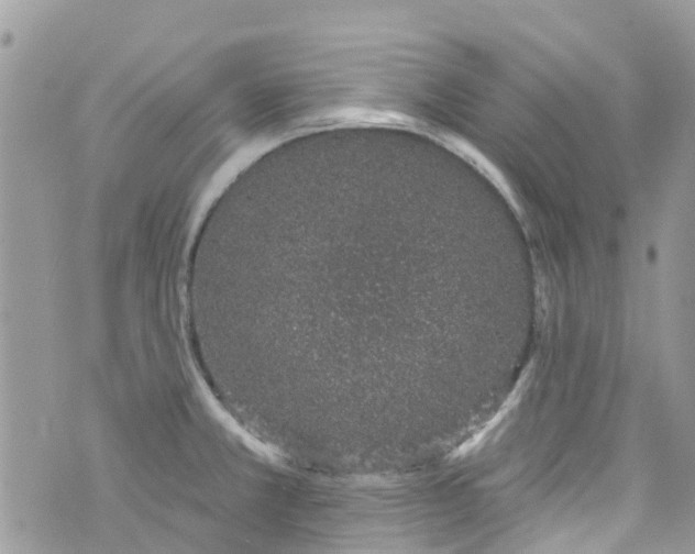 X0000072991381200608111756