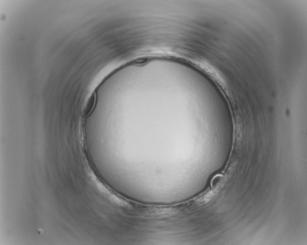 X0000072991382200608111756