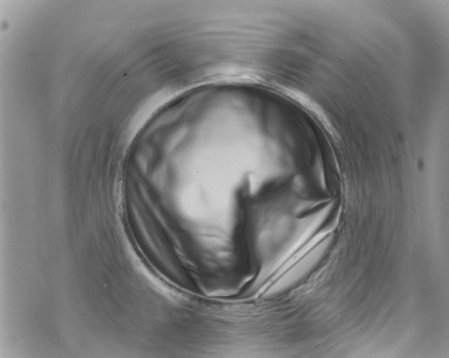 X0000072991383200608111756