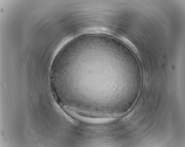 X0000072991384200608111756