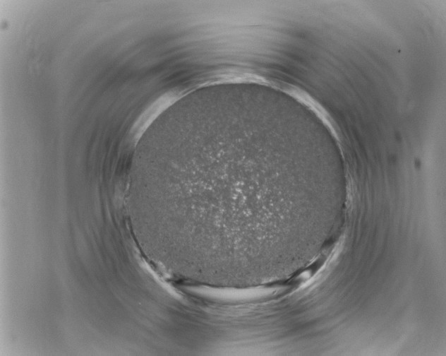 X0000072991385200608111756