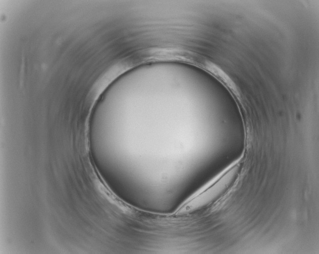 X0000072991386200608111756