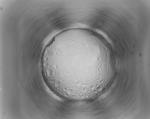 X0000072991387200608111756