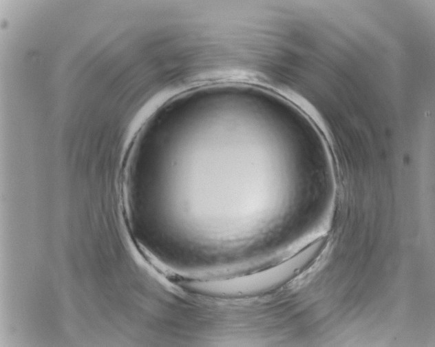 X0000072991389200608111756