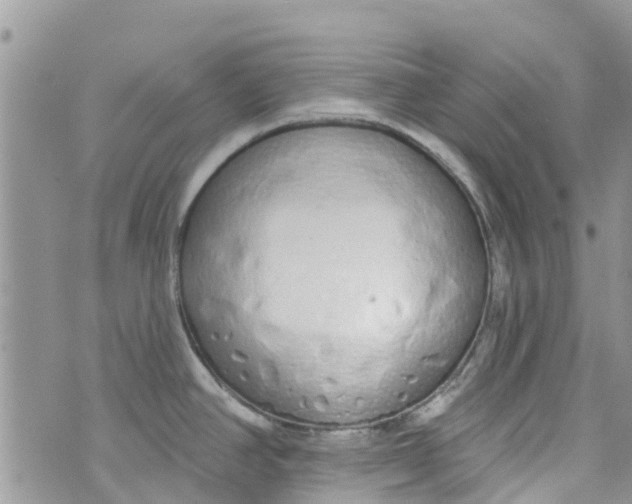 X0000072991390200608111756