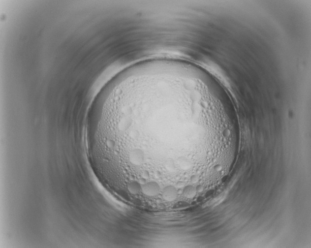 X0000072991391200608111756