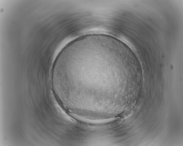 X0000072991392200608111756