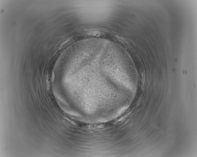 X0000072991394200608111755