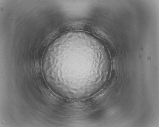 X0000072991395200608111755