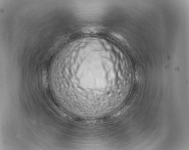 X0000072991396200608111755