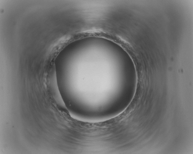 X0000072991398200608111755