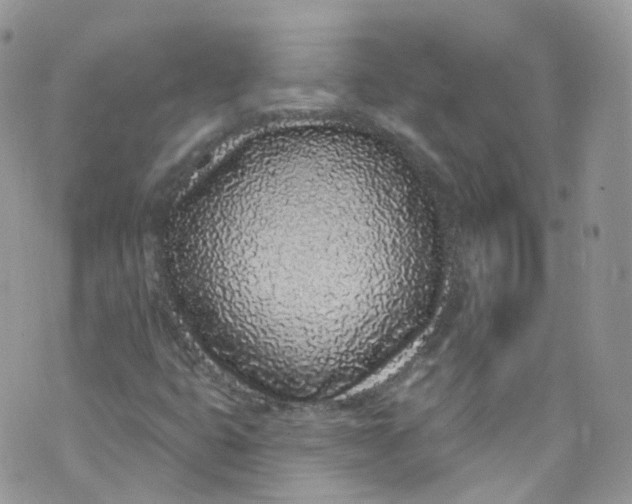 X0000072991399200608111755