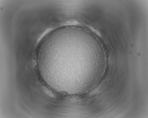 X0000072991400200608111755