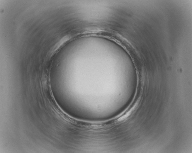 X0000072991401200608111755