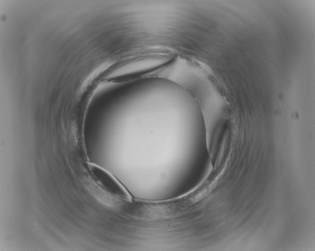 X0000072991402200608111755