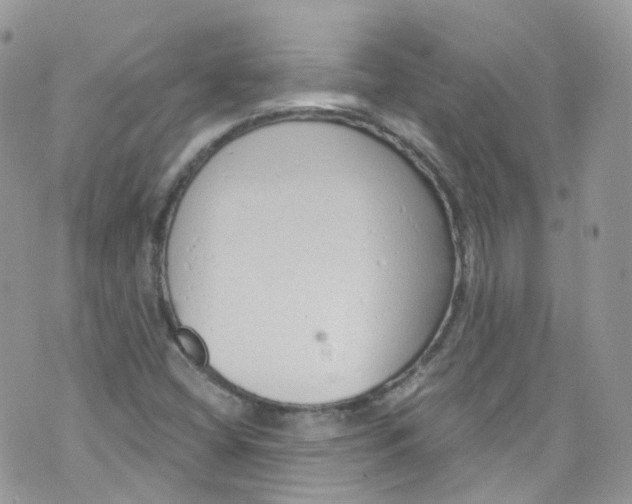 X0000072991404200608111755