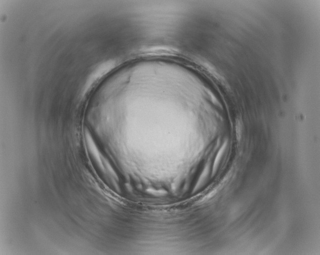 X0000072991405200608111755