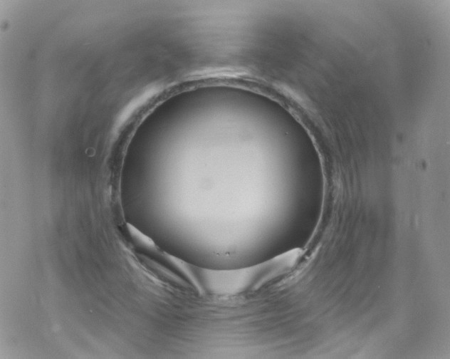 X0000072991406200608111755