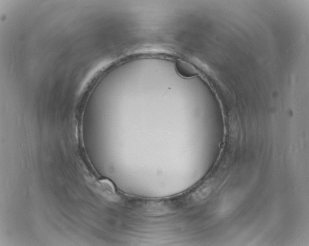 X0000072991408200608111755