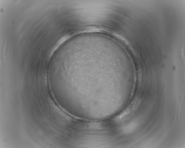 X0000072991409200608111755