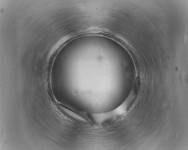 X0000072991410200608111755