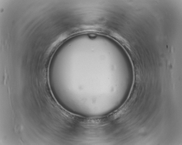 X0000072991411200608111755