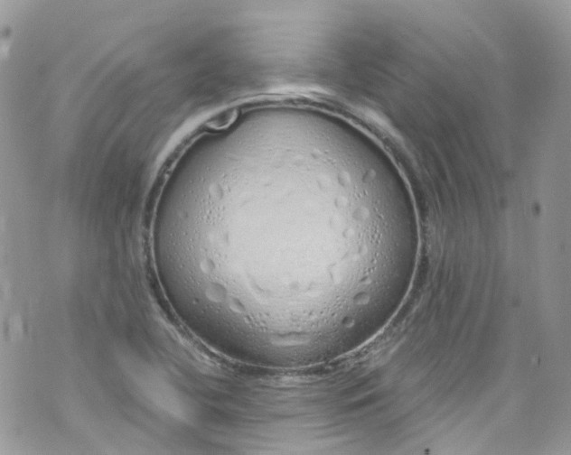 X0000072991412200608111755