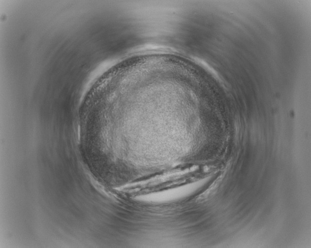 X0000072991413200608111755