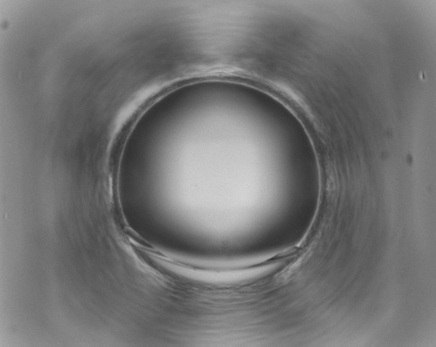 X0000072991414200608111755