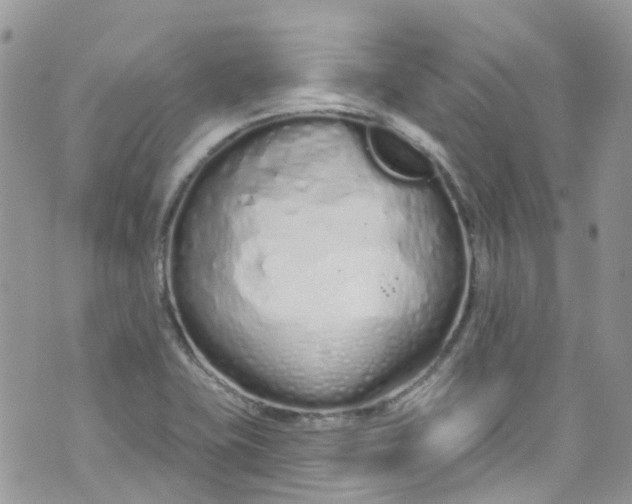 X0000072991415200608111755