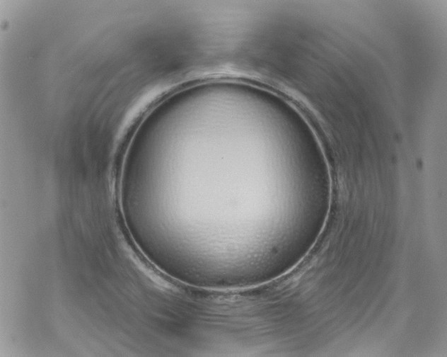 X0000072991416200608111755