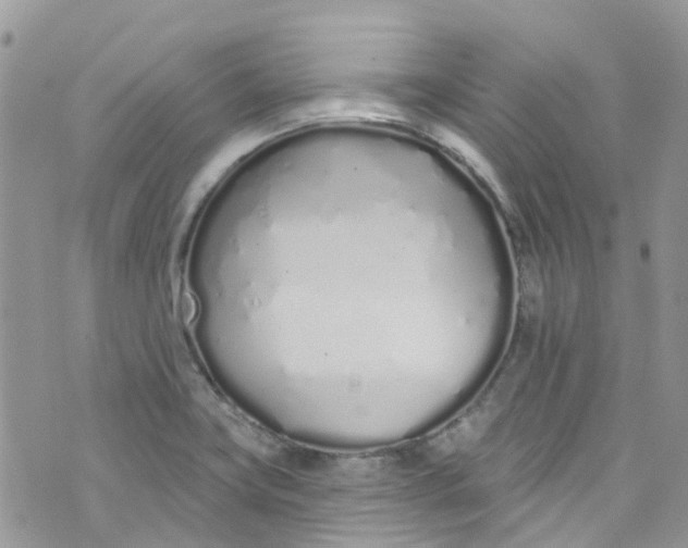 X0000072991419200608111755