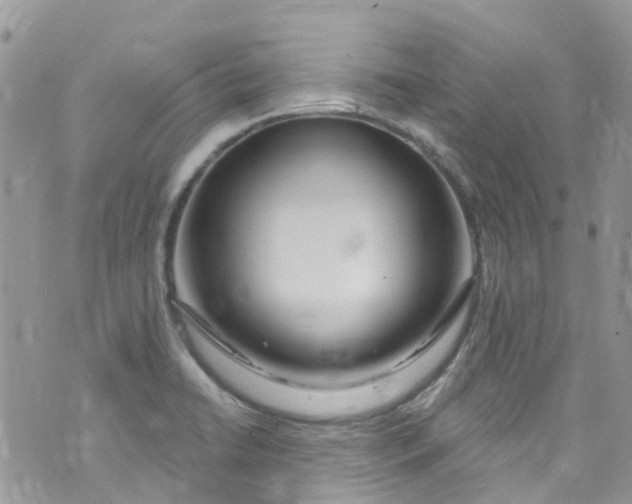 X0000072991422200608111755