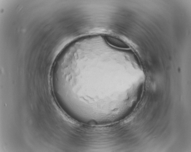 X0000072991423200608111755