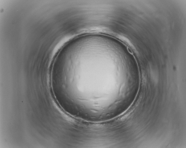 X0000072991424200608111756