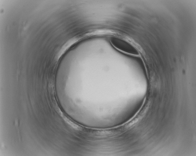 X0000072991425200608111756