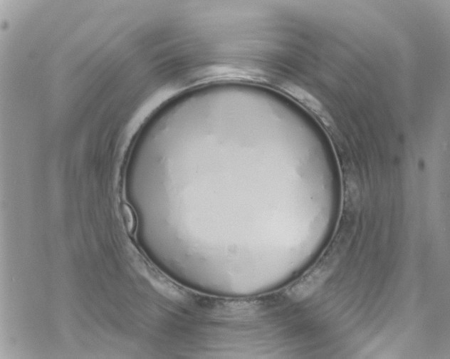 X0000072991427200608111756