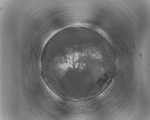 X0000072991428200608111756