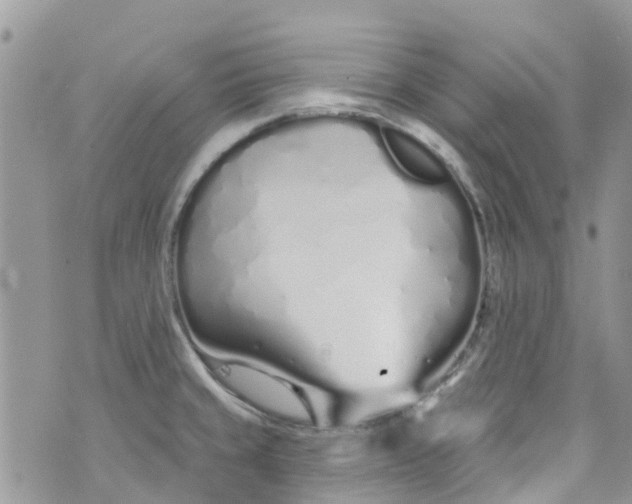 X0000072991429200608111756