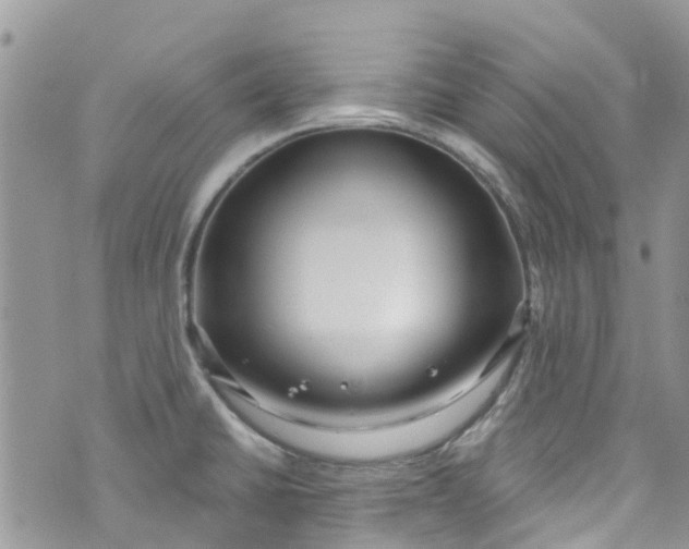 X0000072991430200608111756