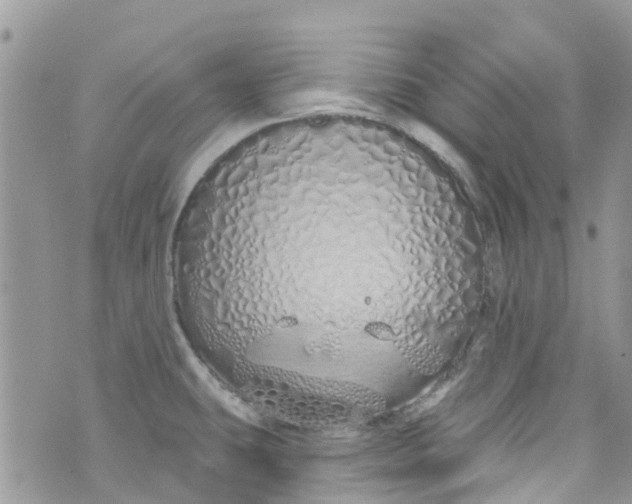 X0000072991431200608111756