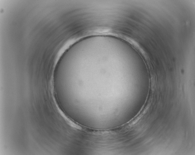 X0000072991432200608111756