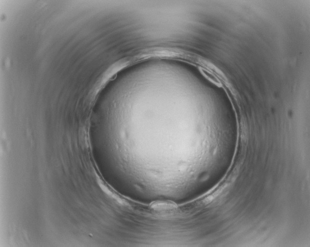 X0000072991433200608111756