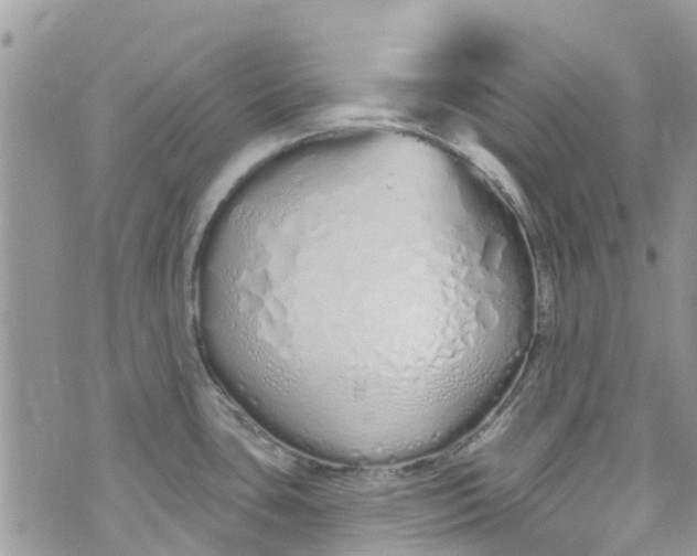 X0000072991435200608111756