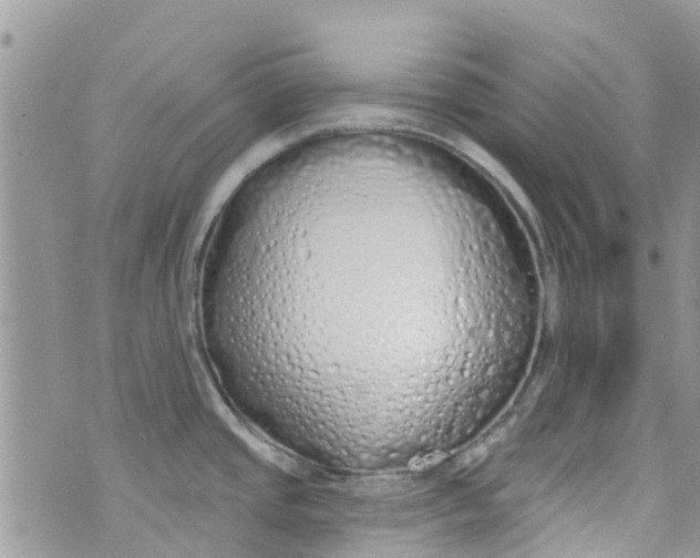 X0000072991437200608111756