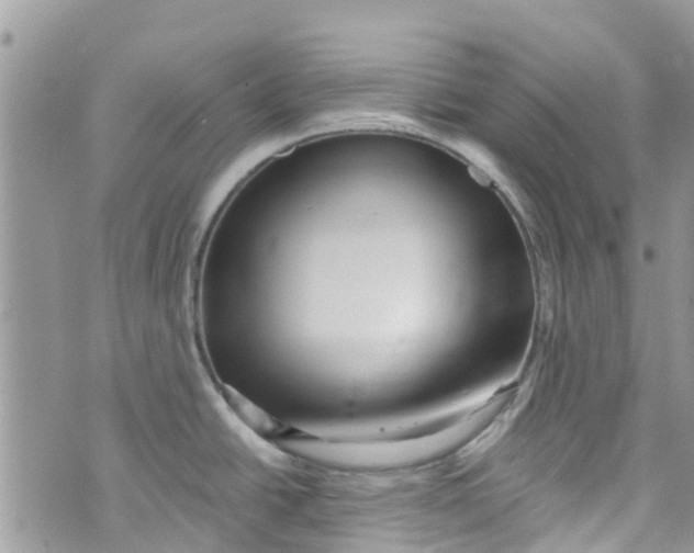 X0000072991438200608111756